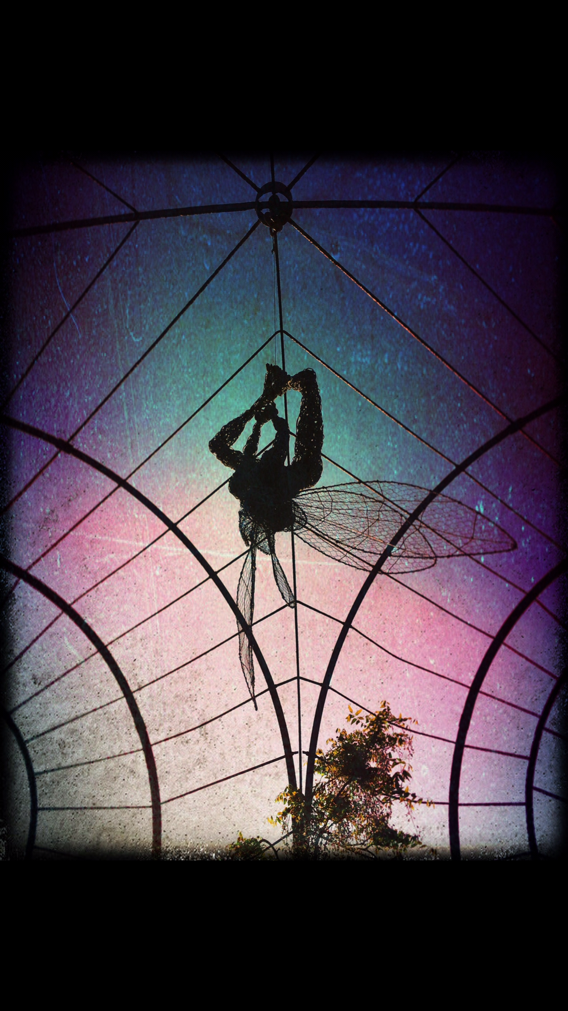 fairy magic at night