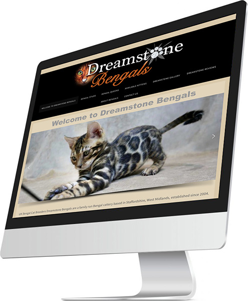 Dreamstone Bengal Cat Breeder Website Designer