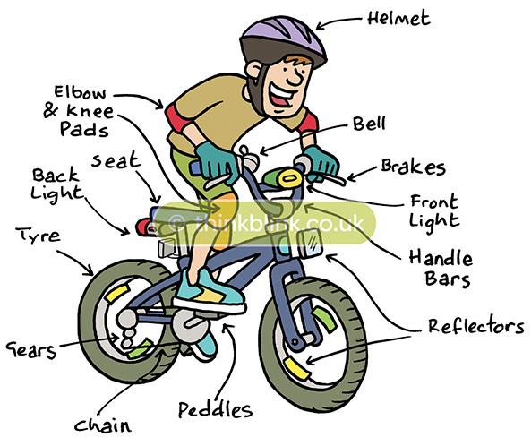 Diagram of bike and safety equipment cartoon